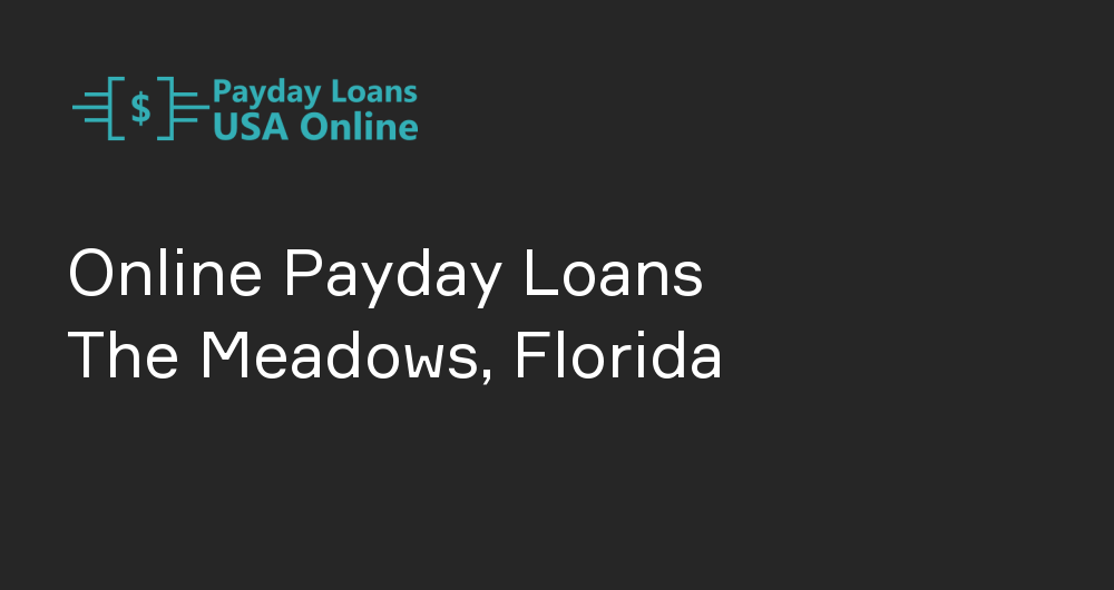 Online Payday Loans in The Meadows, Florida