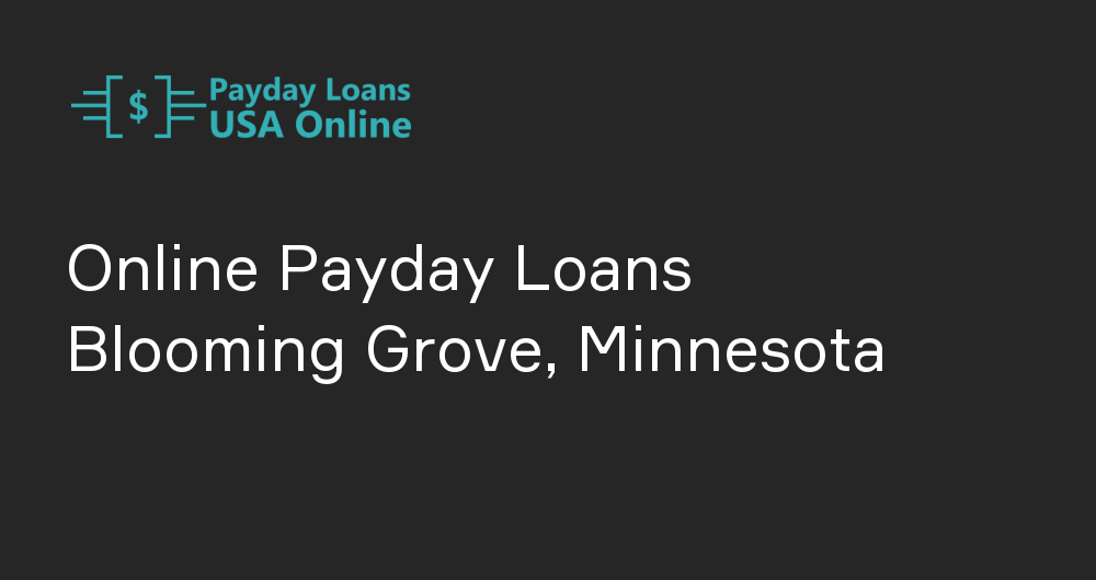 Online Payday Loans in Blooming Grove, Minnesota