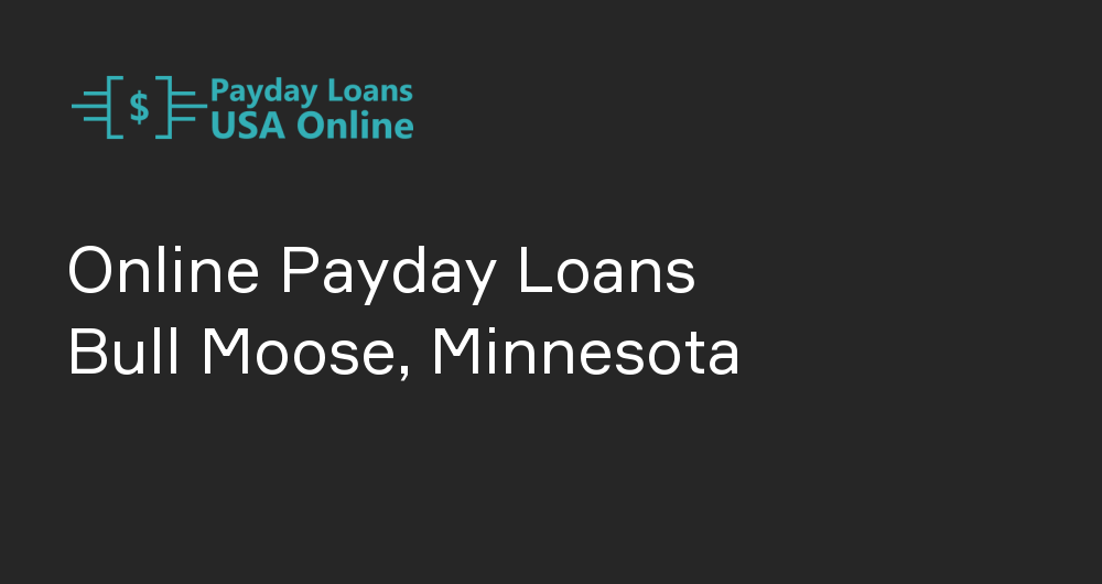 Online Payday Loans in Bull Moose, Minnesota