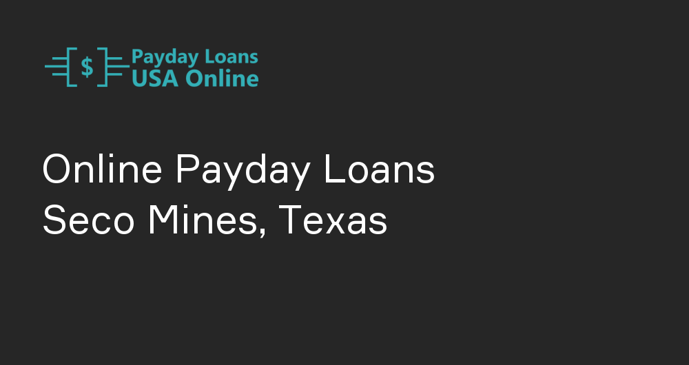 Online Payday Loans in Seco Mines, Texas